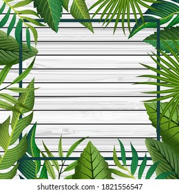 Fondo de madera gris blanca con marco de hojas tropicales.
