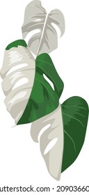 white and green hollow leaf vector