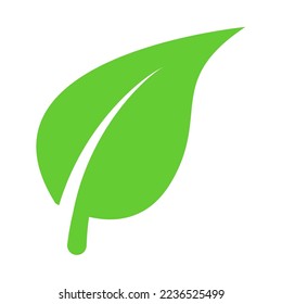 Hoja verde blanca Naturaleza de una planta Vida Esperanza Crecimiento Progreso Cambio de brote Vida Nuevo Comienzo Estrella Comenzar Amanecer Icono Signo Símbolo de Sigilia Símbolo Insignia Vector EPS Transparente No Retroceso