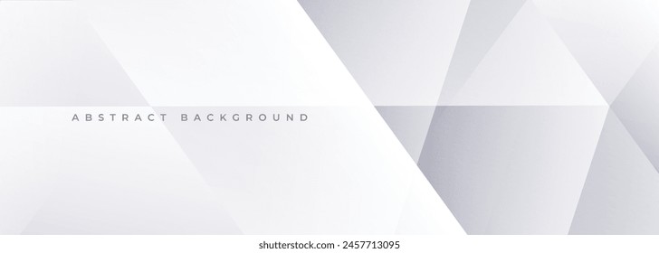 White and grey 3d modern abstract background with polygonal texture. Soft gray wide abstract banner. Vector illustration