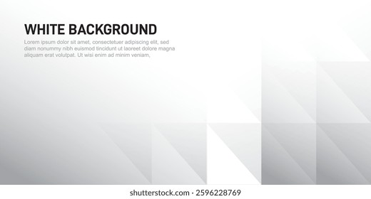 White Grey Abstract Geometric background grey effect decoration. Modern graphic design element concept for banner and background