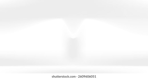 White Grey background. Minimal 3d shelf style. Room in the 3d. For backdrop,wallpaper,background. Space for text. Vector illustration
