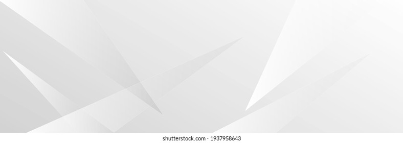 white and grey background vector design