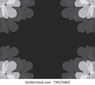 White and grey flower accents or decoration form a frame on a dark background vector illustration. 