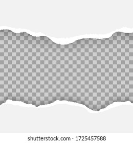 White and grey realistic horizontal paper strips with space for text, set of ripped and torn paper stripes, pieces of torn, banner design template for web and print, advertising, presentation, vector.