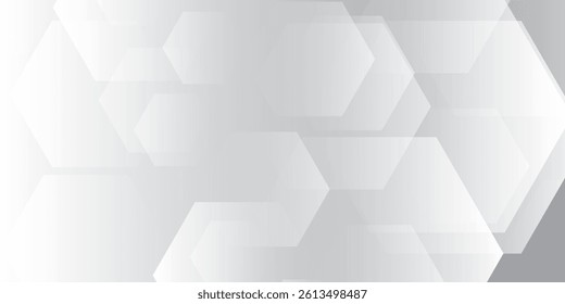 White and grey tech hexagonal abstract background. Creative geometric rectangle pattern texture. For banner, poster. Minimal style. Vector illustration Minimalist and trendy design.