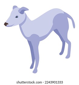 White greyhound icon isometric vector. Animal pet. Mammal canine