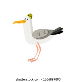 A white gull in a knitted cap. Funny childish character.