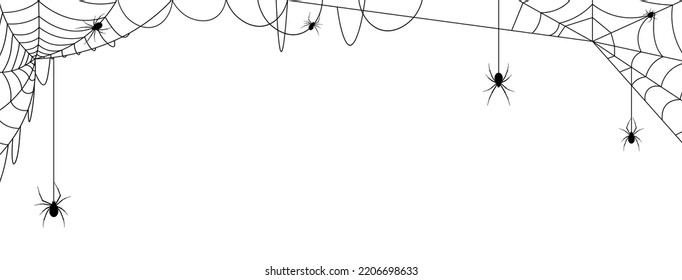 White Halloween banner with spiderweb and spiders. Vector background
