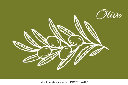 white hand drawn olive branch on green backround