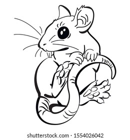A white hand drawn rat on a white background. Symbols of 2020 Chinese New Year.