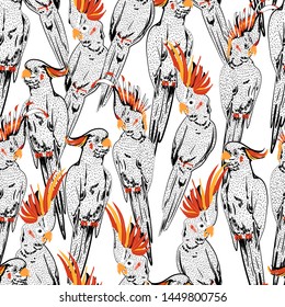 White hand drawn sketch of cockatoo birds with red head seamless pattern in vector ,Design for fashion, wallpaper wrapping, web, and all prints on white background color