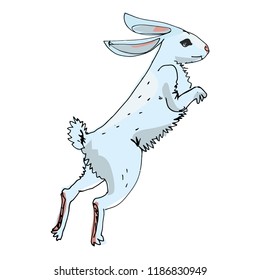 The white hare bounces.