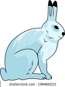 White hare - mammal of the genus of hares, Common animal of the north of Eurasia