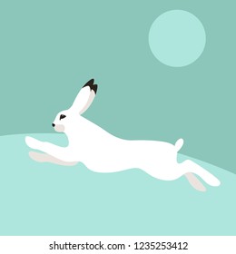 white  hare, vector illustration ,flat style, profile view