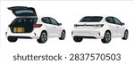 White Hatchback Car Rear View Illustration Set. White Compact Car Backside Illustration. Modern Hatchback Car Rear View.