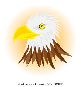 White head eagle