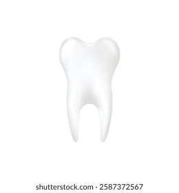 Ilustração de vetor realista de dente humano branco e saudável isolada no fundo branco. Imagem de dente com raízes para odontologia ou embalagem de produtos de higiene bucal.