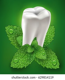 white healthy tooth and fresh mint leaf