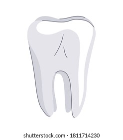 Ilustración vectorial aislada de dientes blancos sanos, dibujo de estilo sencillo mínimo.