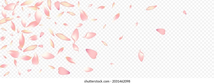 Fondo Panorámico Transparente Del Vector Del Corazón Blanco. Afiche del matrimonio Sakura. Plantilla de lluvia de flores. Felicitaciones a Rose Springtime. Diseño De Madres De Flor Rosa.