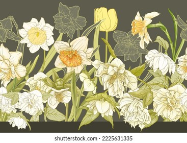 White hellebore flowers, the first spring flowering ranunculus. Spring floral motif. Seamless pattern, background. Vector illustration in botanical style