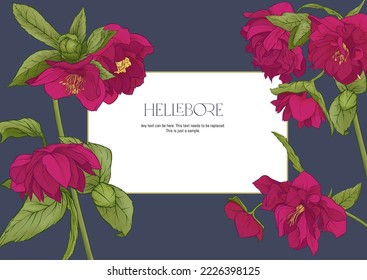 White hellebore flowers, the first spring flowering ranunculus. Spring floral motif. Border, frame, template for product label, packaging. Easy to edit. Vector illustration. In botanical style