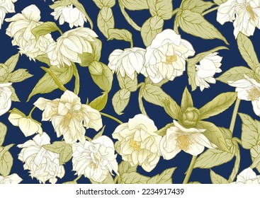 Flores de helados blancos, el primer ranunculus florido de primavera. Motif floral primaveral. Patrón sin inconvenientes, fondo. Ilustración vectorial en estilo botánico