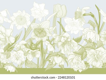 White hellebore flowers, the first spring flowering ranunculus. Spring floral motif. Seamless pattern, background. Vector illustration in botanical style svg