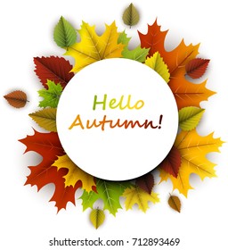 White hello autumn card with colorful maple and birch leaves. Vector illustration.