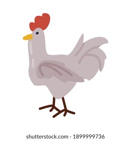 White Hen, Farm Poultry Breeding, Agriculture and Farming Concept Cartoon Style Vector Illustration