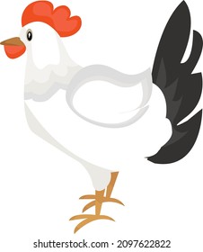 White hen illustration, vector on a white background.