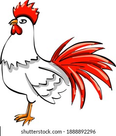White hen ,illustration,vector on white background