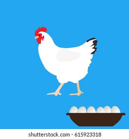 white hen on blue background