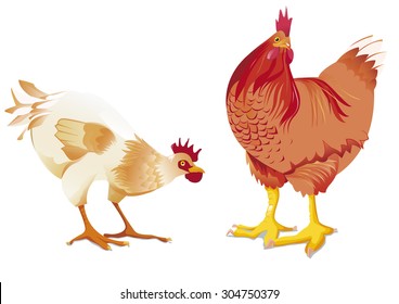 White hen and red hen