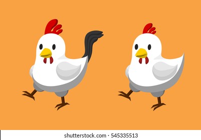 White Hen and Rooster. Couple of white chicken.