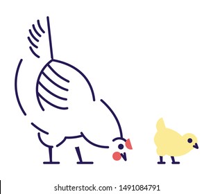 White hen with yellow chick pecking flat vector illustration. Domestic bird breeding concept. Mother chicken isolated design element with outline. Poultry farming, hennery symbol on white background