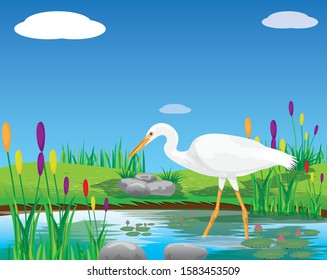 white heron bird in pond vector design