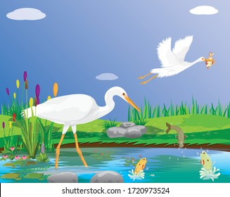 white Heron feed on fish in the swamp vector design