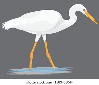white heron on grey background vector design
