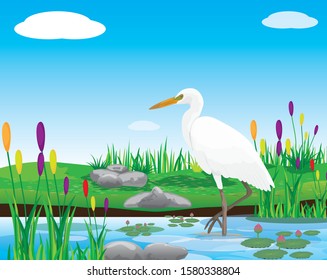 white heron in pond vector design