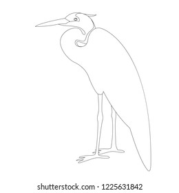 white heron is standing vector illustration  lining draw