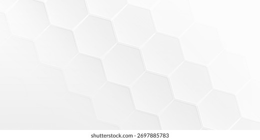 White Hexagon Geometric Abstract Background. Suit for banner, web, brochure, pamflet, poster and presentation