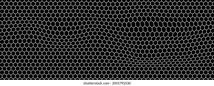 White Hexagon Waves Vector Design