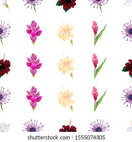 White Hibiscus. Purple Osteospermum Daisybush. Red Rose Mallow. Pink Ginger. Yellow hibiscus. Red and Pink Ginger. Vector illustration. Seamless background pattern. Floral botanical flower. Wild.
