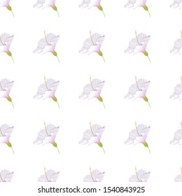 White Hibiscus. Vector illustration. Seamless background pattern. Floral botanical flower. Wild leaf wildflower isolated. Exotic tropical hawaiian jungle. Fabric wallpaper print texture.