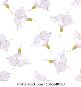 White Hibiscus. Vector illustration. Seamless background pattern. Floral botanical flower. Wild leaf wildflower isolated. Exotic tropical hawaiian jungle. Fabric wallpaper print texture.