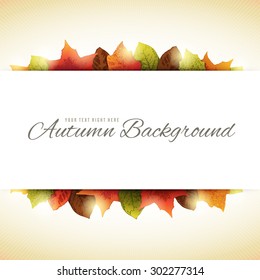 White horizontal copyspace with autumn leaves behind it. File format is EPS10.