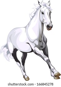 Cheval Blanc Galop Stock Vectors Images Vector Art Shutterstock