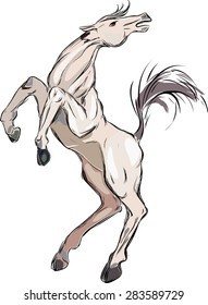 White horse
